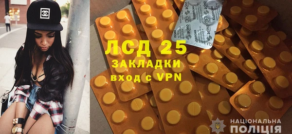 прущие грибы Верхний Тагил