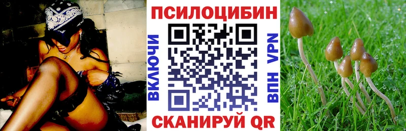 shop официальный сайт  Тбилисская  Псилоцибиновые грибы Psilocybine cubensis  blacksprut зеркало 